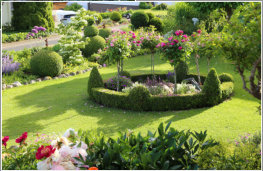 Gartentraum Solms, Vorgarten mit Rosen-Rondell