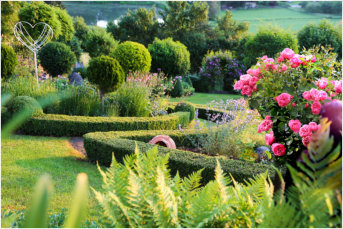 Gartentraum Solms, Hanggarten mit Buchs 