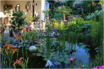 Gartentraum Solms, Terrasse mit Teich 