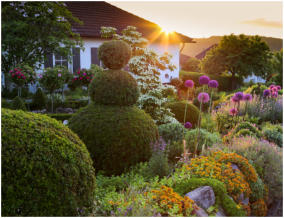 Vorgarten mit Fiesenwall und Buchs