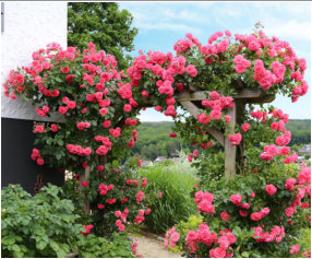 Gartentraum Solms, Rosenbogen "Rosarium tersen"