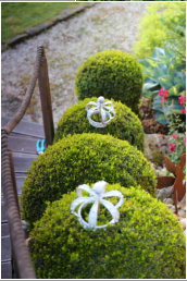 Gartentraum Solms, Treppe mit Buchs 