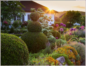 Vorgarten mit Fiesenwall und Buchs