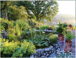 Gartentraum Solms, Gartenteich
