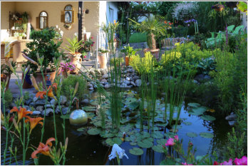 Gartentraum Solms, Terrasse mit Teich 